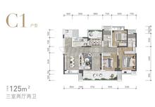 成都万达一号-3号地块万达华庭3室2厅2卫125.00平户型