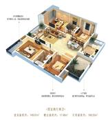 11区C3户型图