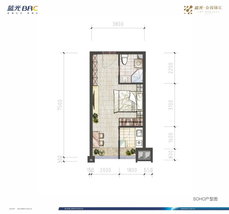 全明星户型