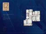 C2