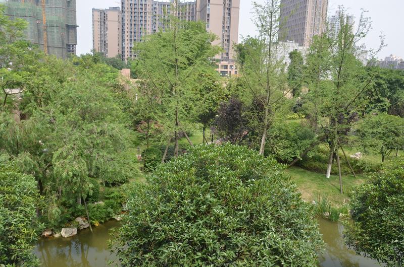 一期小区实景图