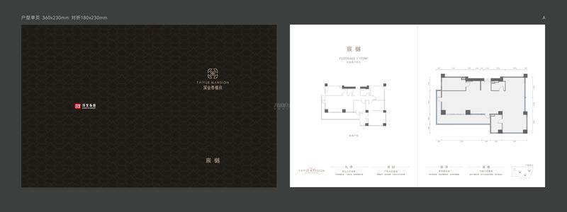 A 户型