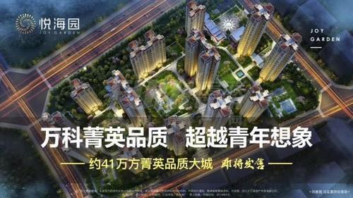 万科 悦海园1期效果图