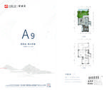 A9
