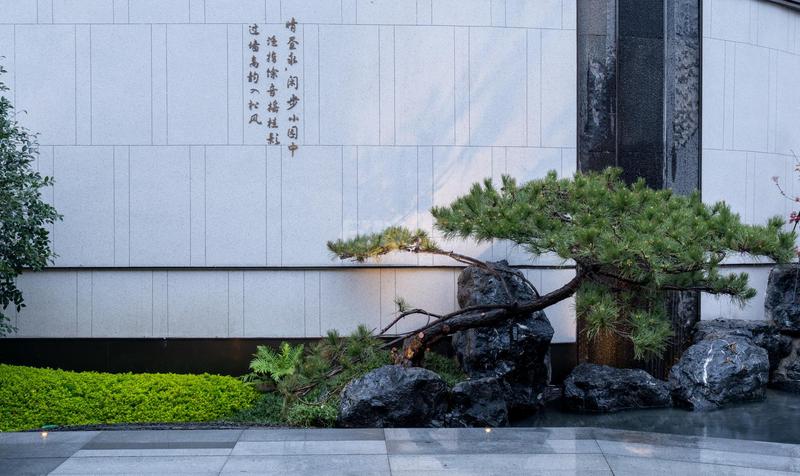 实景图