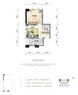 棠湖泊悦城  54.46平米