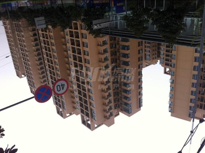 实景图