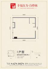 九峰时代广场(白桦林商业中心)  60.34平米