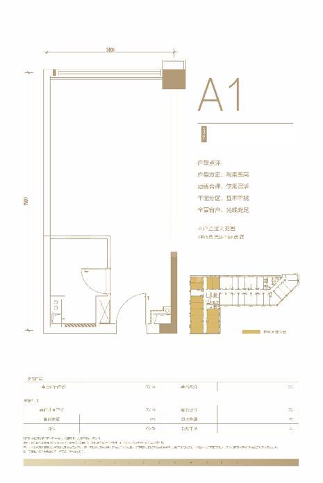A1