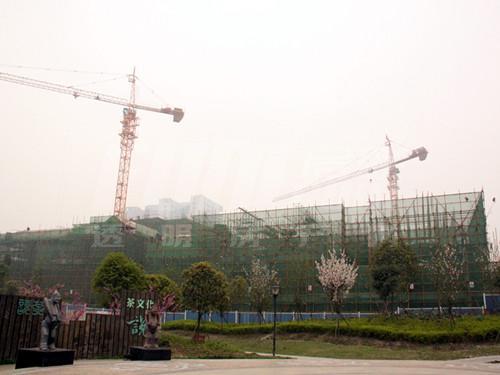 商业街部分