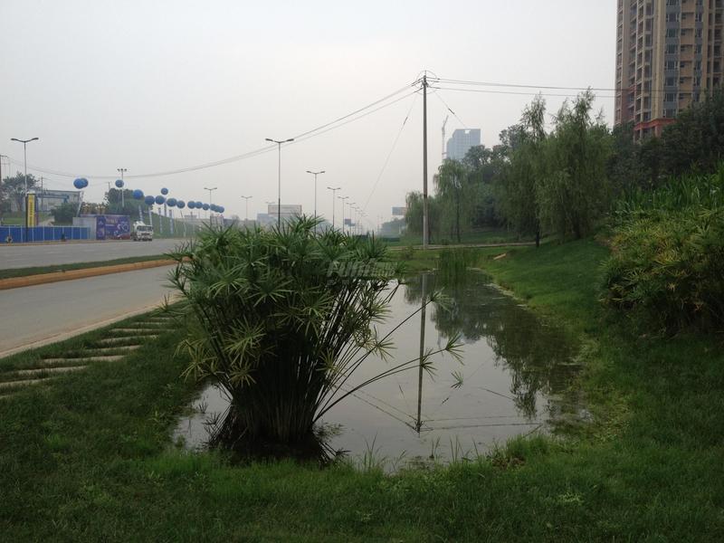 实景图