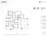 藏峯S