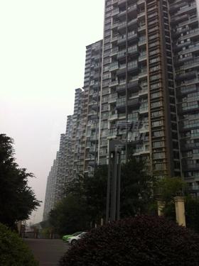 万景峰1期实景图