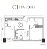 C1