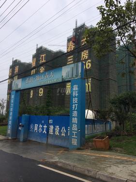 蓝润锦江春天实景图