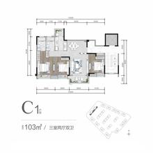 蜀澜峰荟花园1期3室2厅2卫103.00平户型