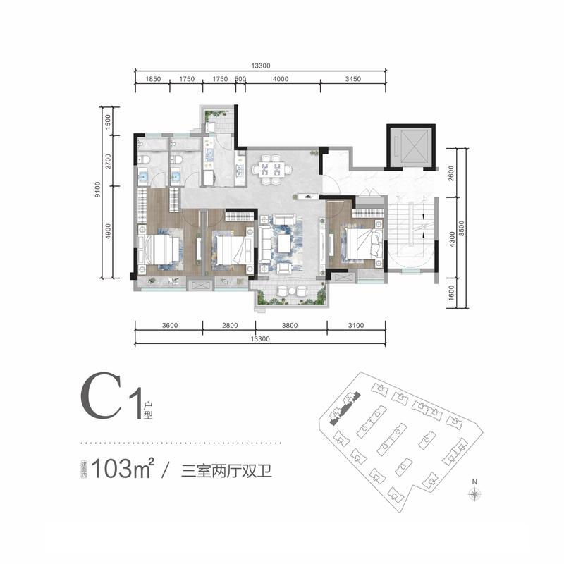 C1