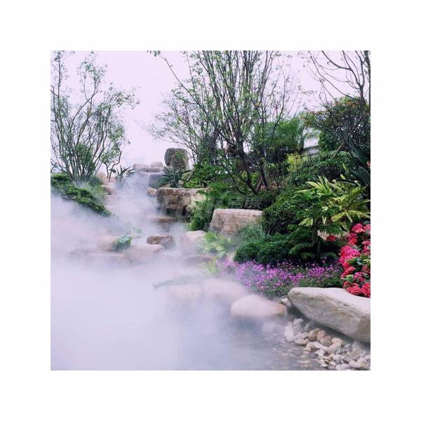 实景图