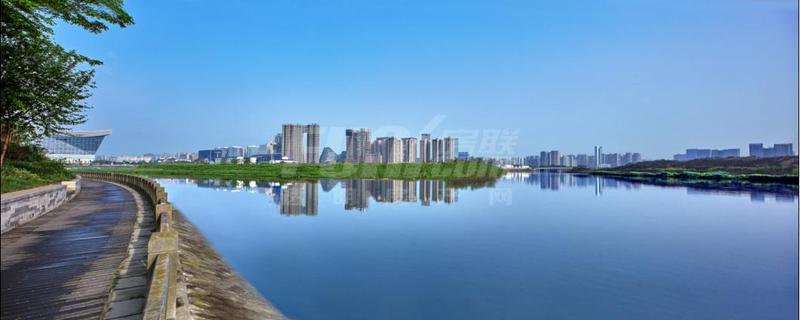 实景图