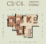 C3/C4