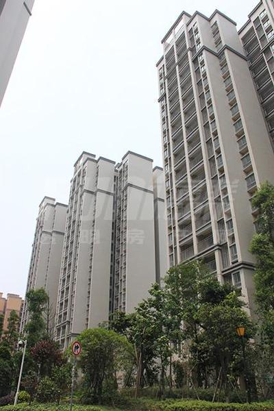 实景图