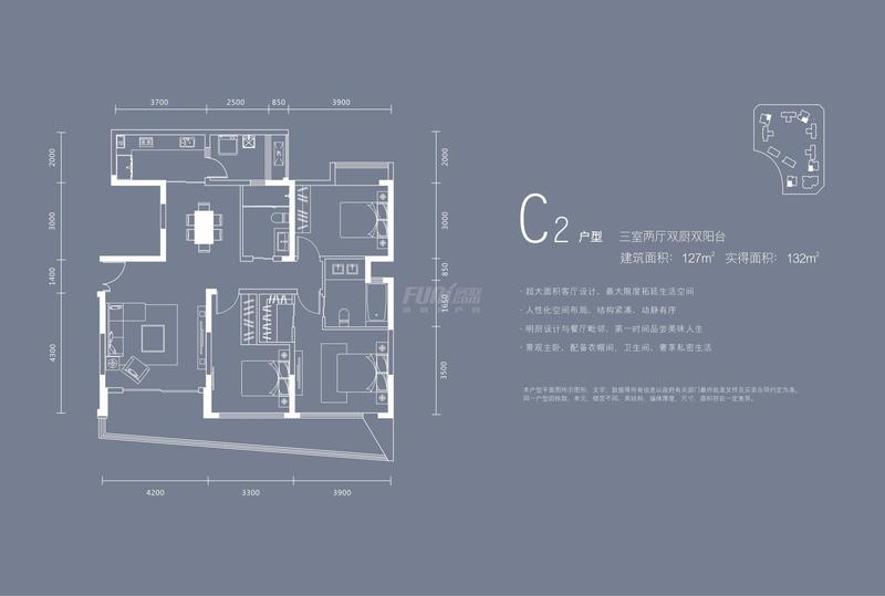 C2