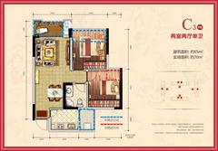 邦泰华府公馆2室2厅1卫65.00平户型