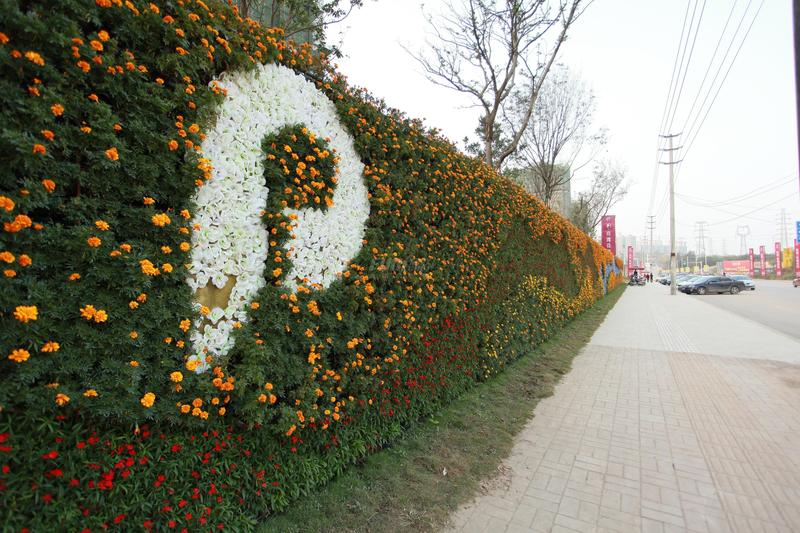 实景图