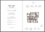 E户型