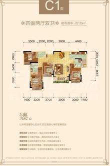 蓝光金悦府4室2厅2卫123.00平户型