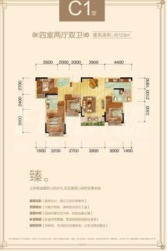 蓝光金悦府4室2厅2卫123.00平户型