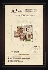A3