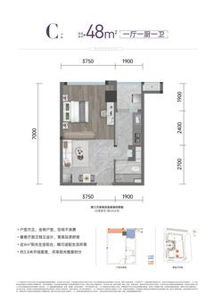 美联蜀·常青藤1期1室1卫48.36平户型