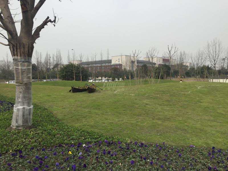 项目实景图
