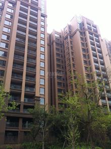 百悦城百悦天鹅湖实景图