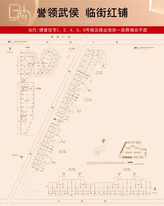 当代·璞誉小区1期1室1.00平户型