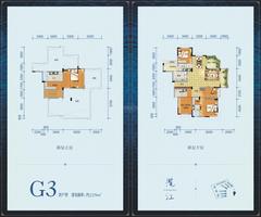 揽江5室3厅4卫214.00平户型
