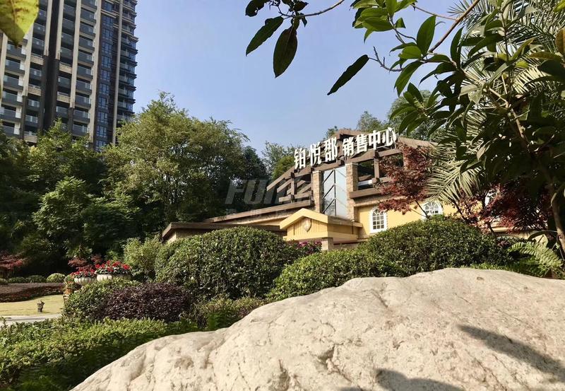 实景图