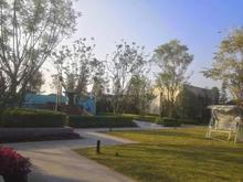经典西悦城三期小区实景图