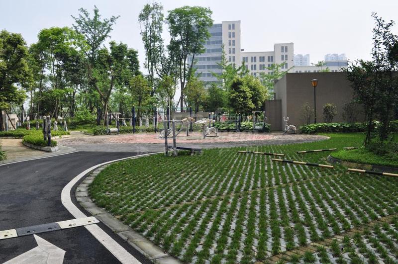 实景图