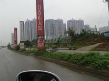 首创万卷山实景图