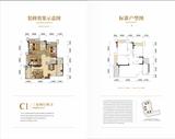 大邑圣桦公馆1期 3室2厅2卫 101.00平米
