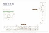 花千集中心  502.44平米