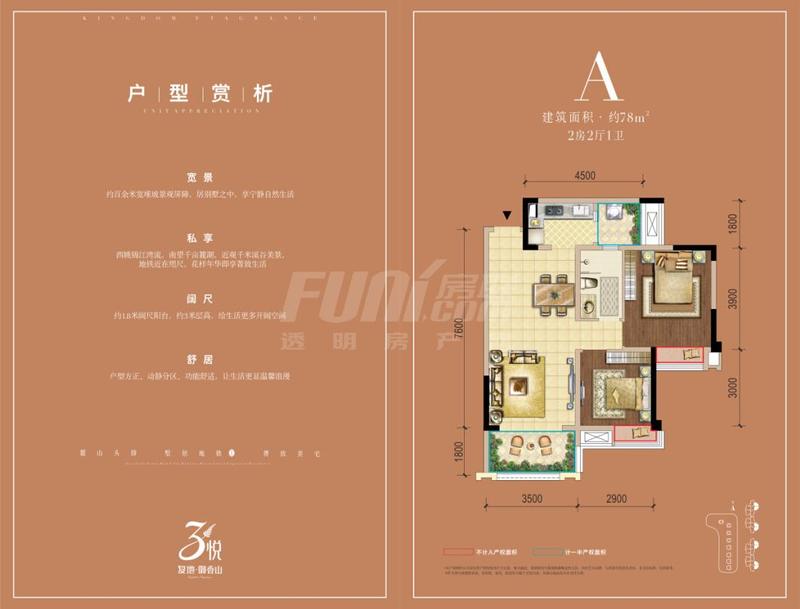 A型