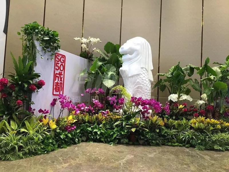 SG50活动