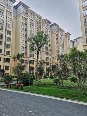 丽都佳苑1期实景图