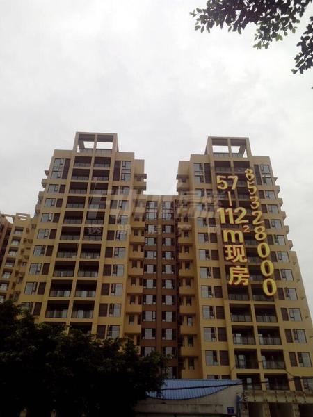 实景图