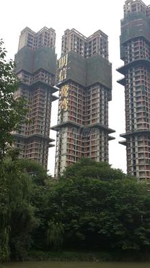 明信鹭湾实景图