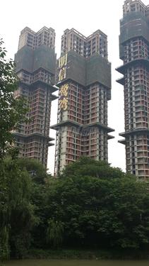 明信鹭湾实景图