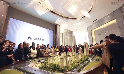 远洋栖棠1期活动图